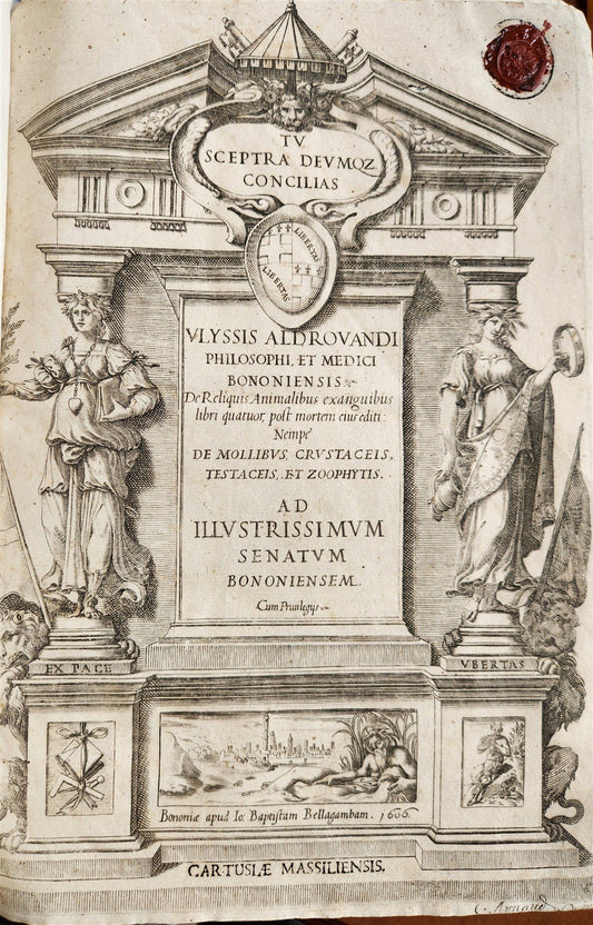 1605 ALDROVANDI TREATISE on MUSSELS SNAILS OCTOPUSES antique ILLUSTRATED FOLIO