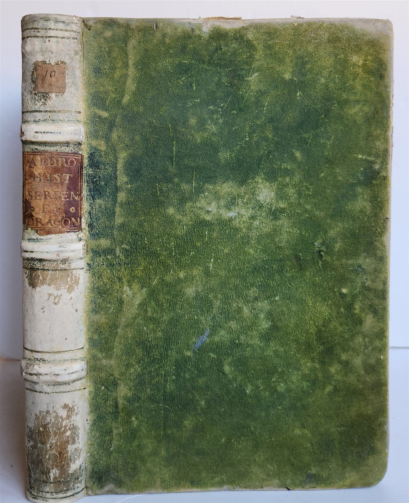 1639 ALDROVANDI TREATISE on DRAGONS & SNAKES antique ILLUSTRATED FOLIO