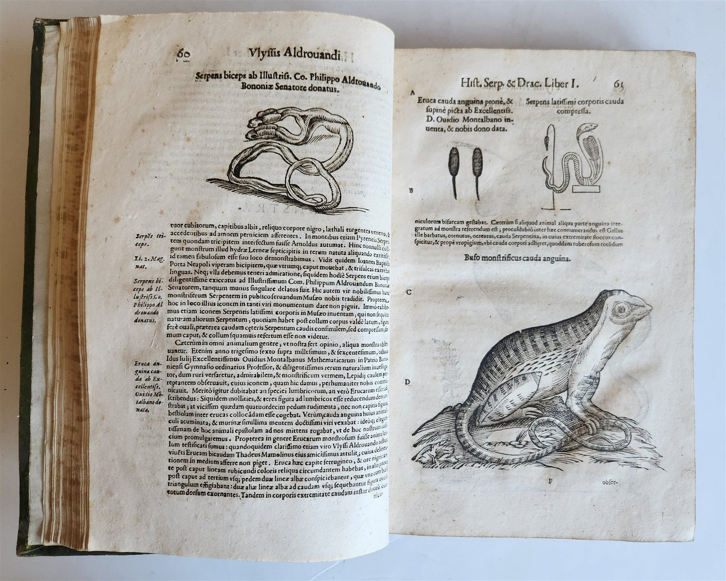 1639 ALDROVANDI TREATISE on DRAGONS & SNAKES antique ILLUSTRATED FOLIO