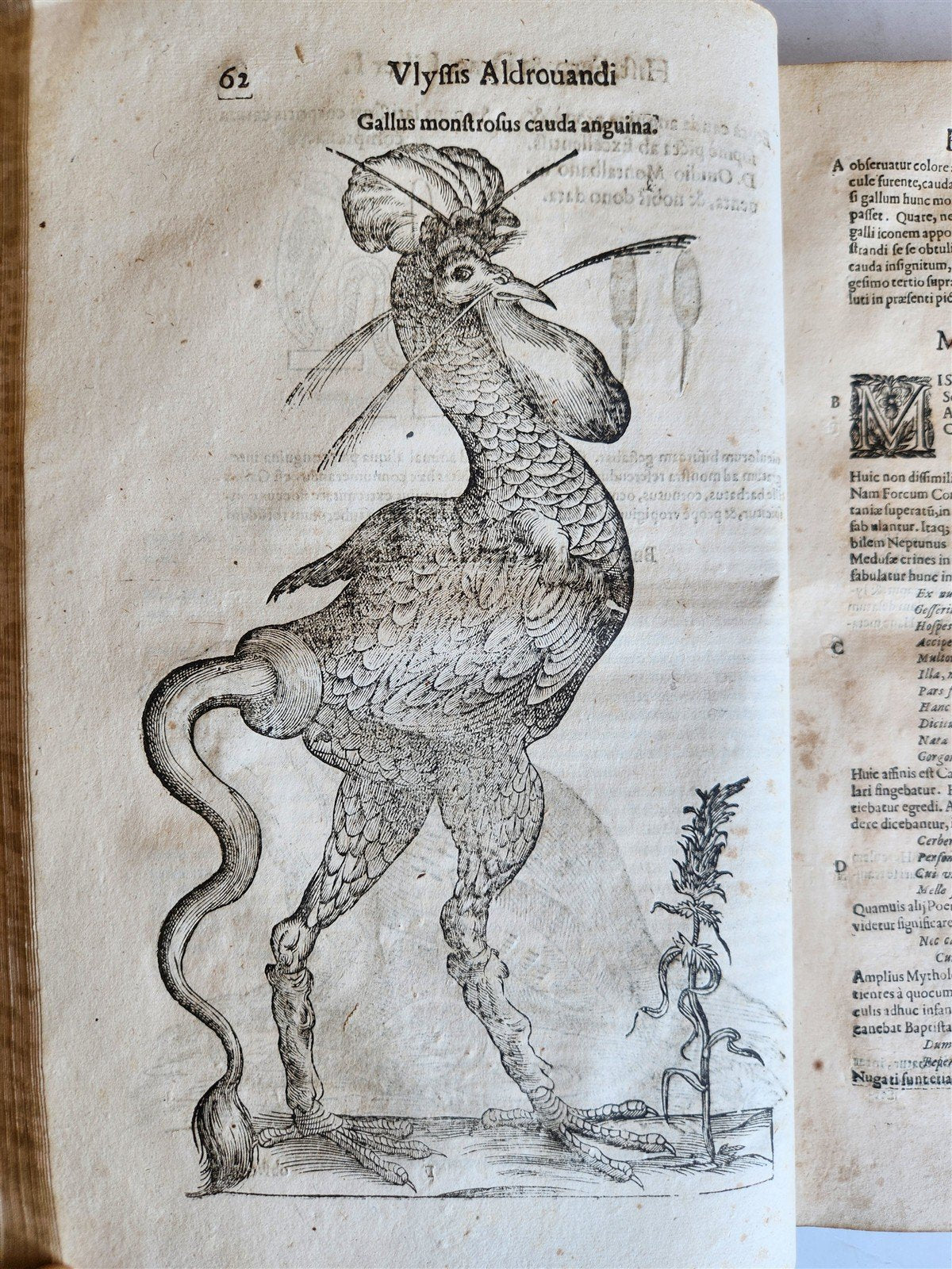 1639 ALDROVANDI TREATISE on DRAGONS & SNAKES antique ILLUSTRATED FOLIO