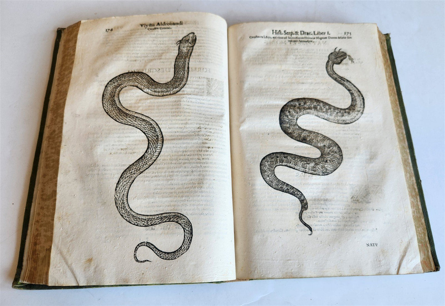 1639 ALDROVANDI TREATISE on DRAGONS & SNAKES antique ILLUSTRATED FOLIO