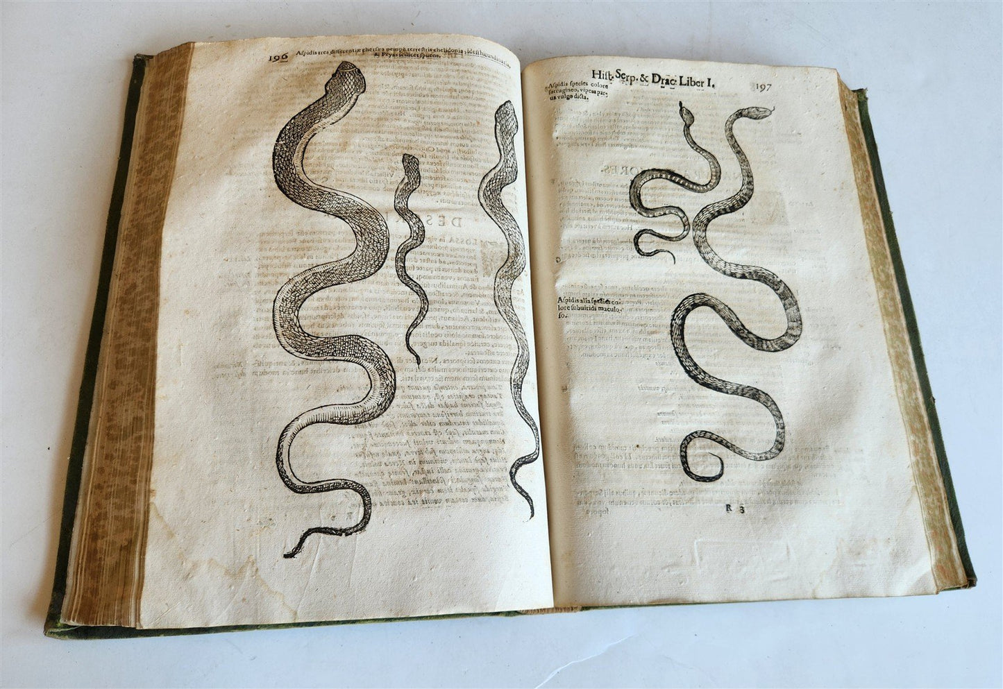 1639 ALDROVANDI TREATISE on DRAGONS & SNAKES antique ILLUSTRATED FOLIO