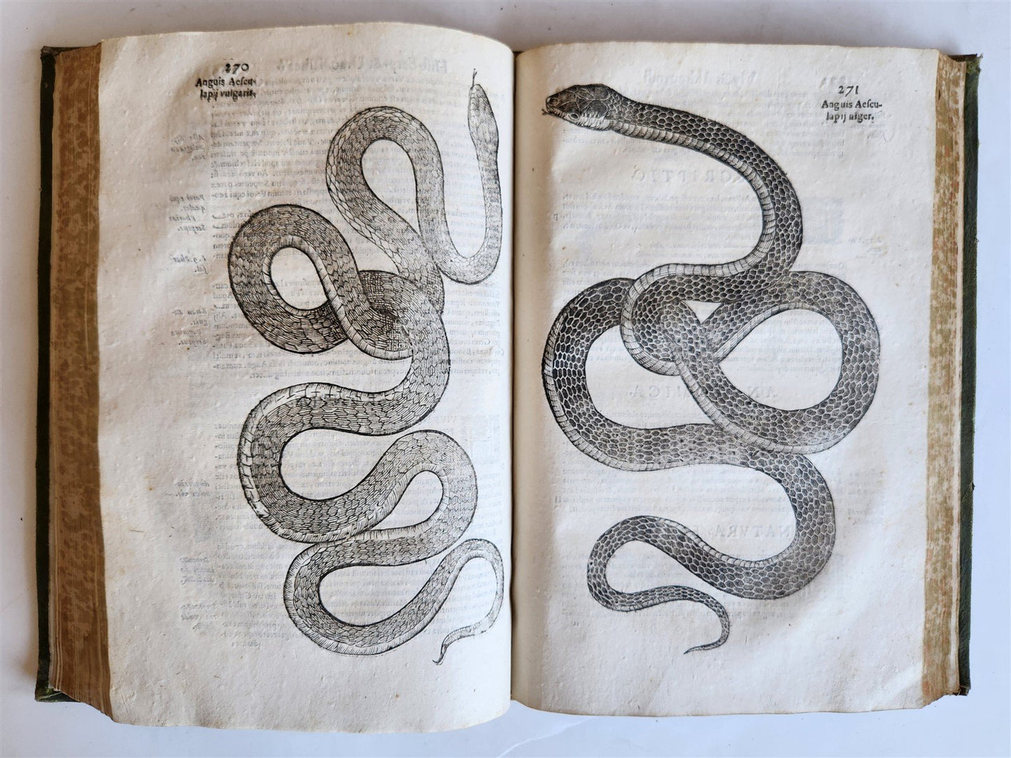 1639 ALDROVANDI TREATISE on DRAGONS & SNAKES antique ILLUSTRATED FOLIO