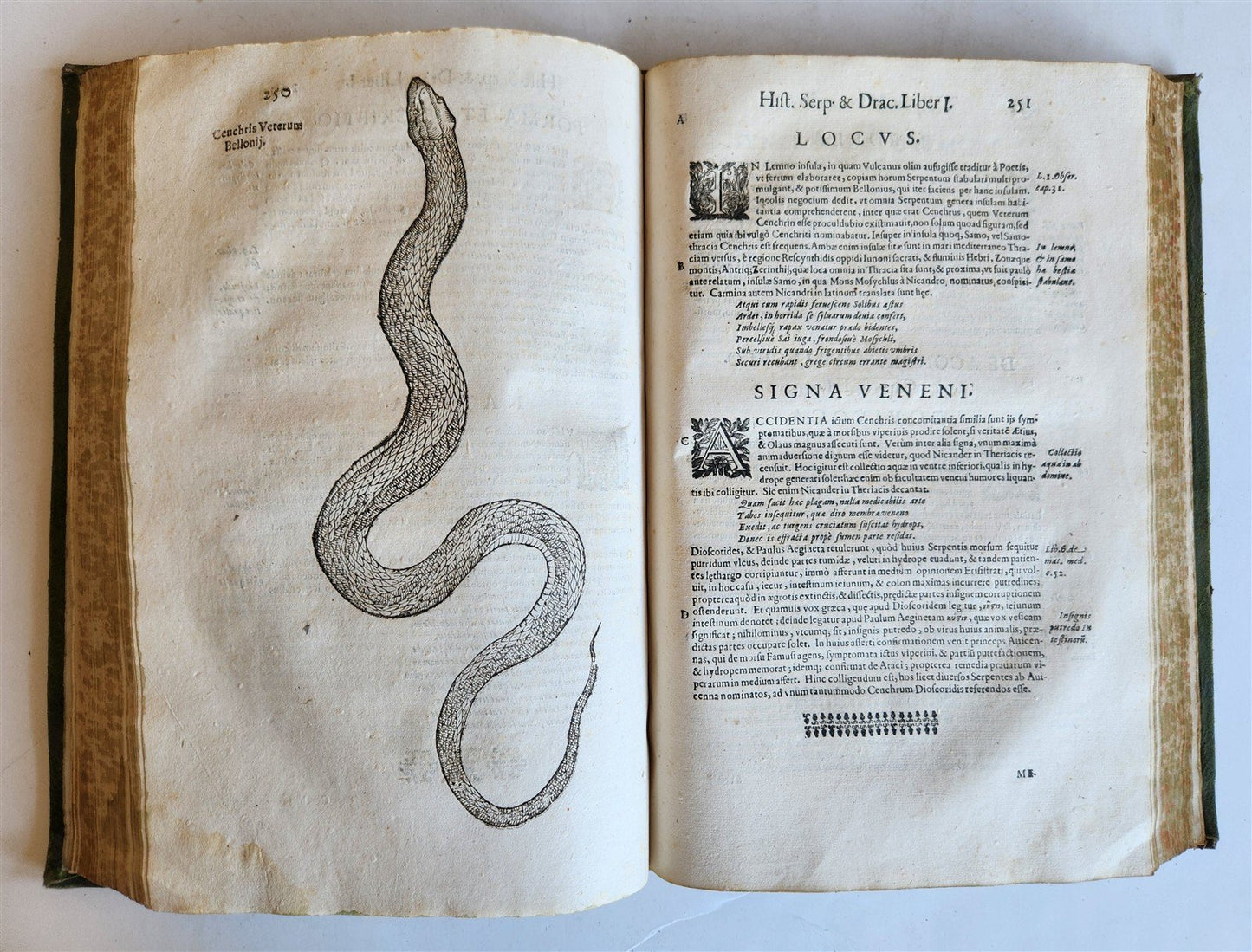 1639 ALDROVANDI TREATISE on DRAGONS & SNAKES antique ILLUSTRATED FOLIO