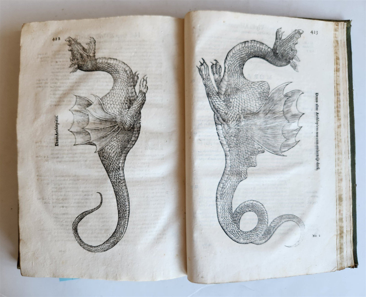 1639 ALDROVANDI TREATISE on DRAGONS & SNAKES antique ILLUSTRATED FOLIO