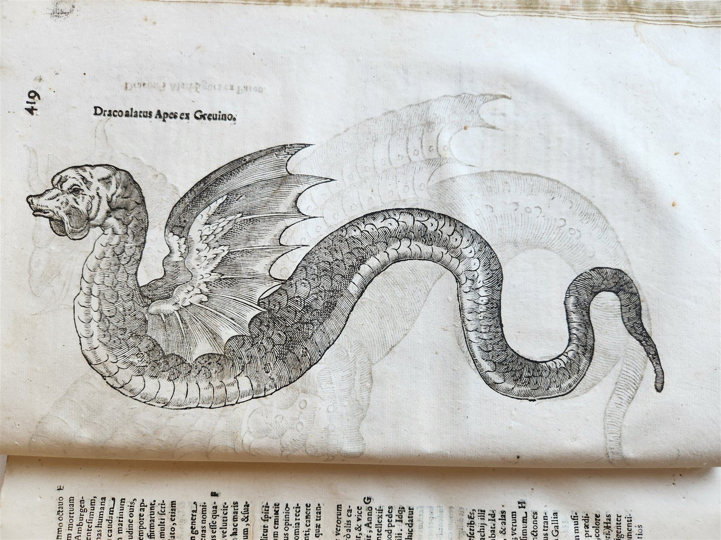 1639 ALDROVANDI TREATISE on DRAGONS & SNAKES antique ILLUSTRATED FOLIO