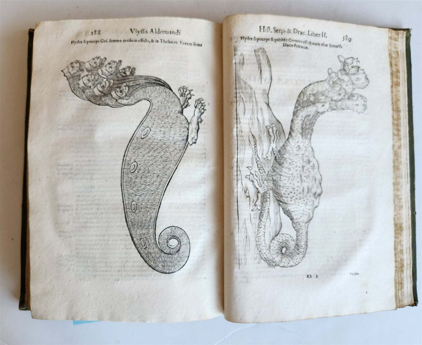 1639 ALDROVANDI TREATISE on DRAGONS & SNAKES antique ILLUSTRATED FOLIO