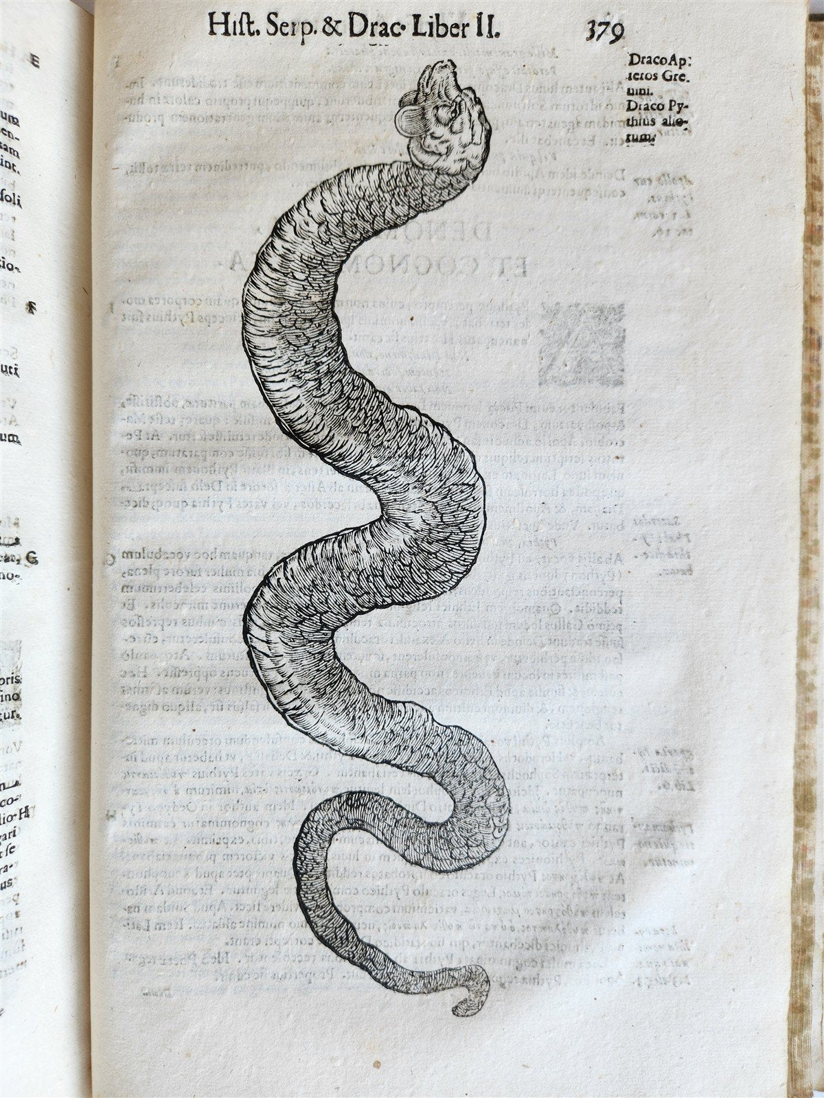1639 ALDROVANDI TREATISE on DRAGONS & SNAKES antique ILLUSTRATED FOLIO