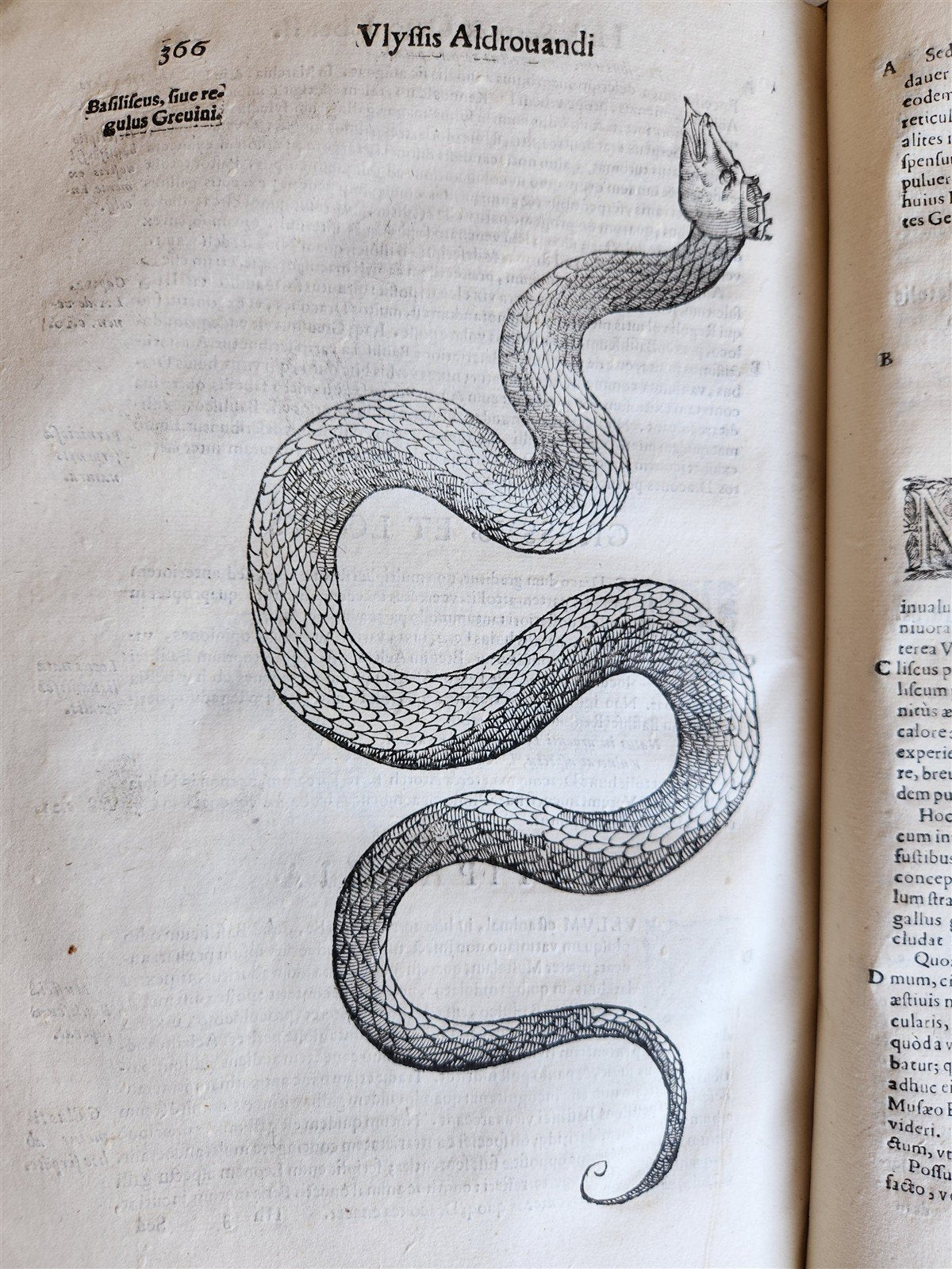 1639 ALDROVANDI TREATISE on DRAGONS & SNAKES antique ILLUSTRATED FOLIO