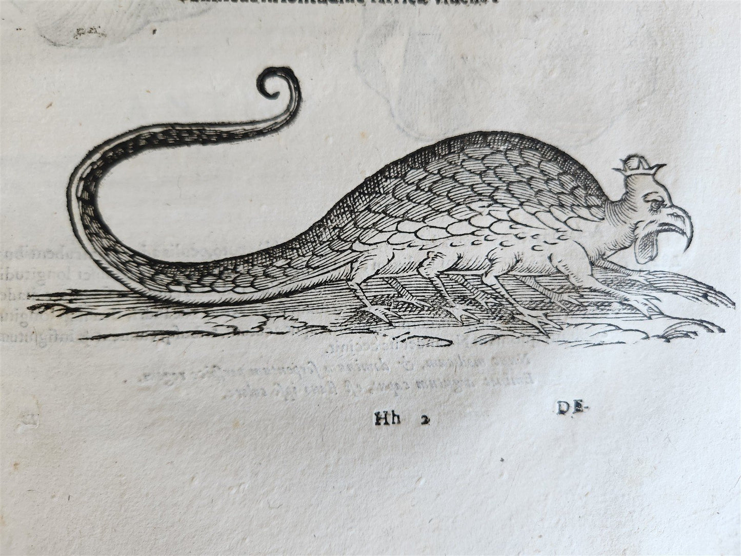 1639 ALDROVANDI TREATISE on DRAGONS & SNAKES antique ILLUSTRATED FOLIO