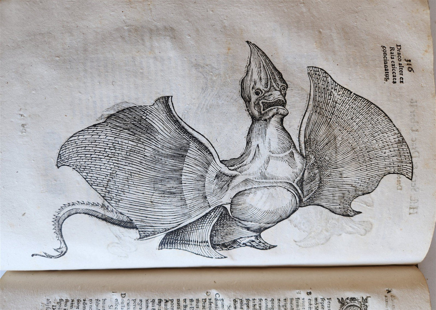 1639 ALDROVANDI TREATISE on DRAGONS & SNAKES antique ILLUSTRATED FOLIO