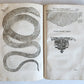 1639 ALDROVANDI TREATISE on DRAGONS & SNAKES antique ILLUSTRATED FOLIO