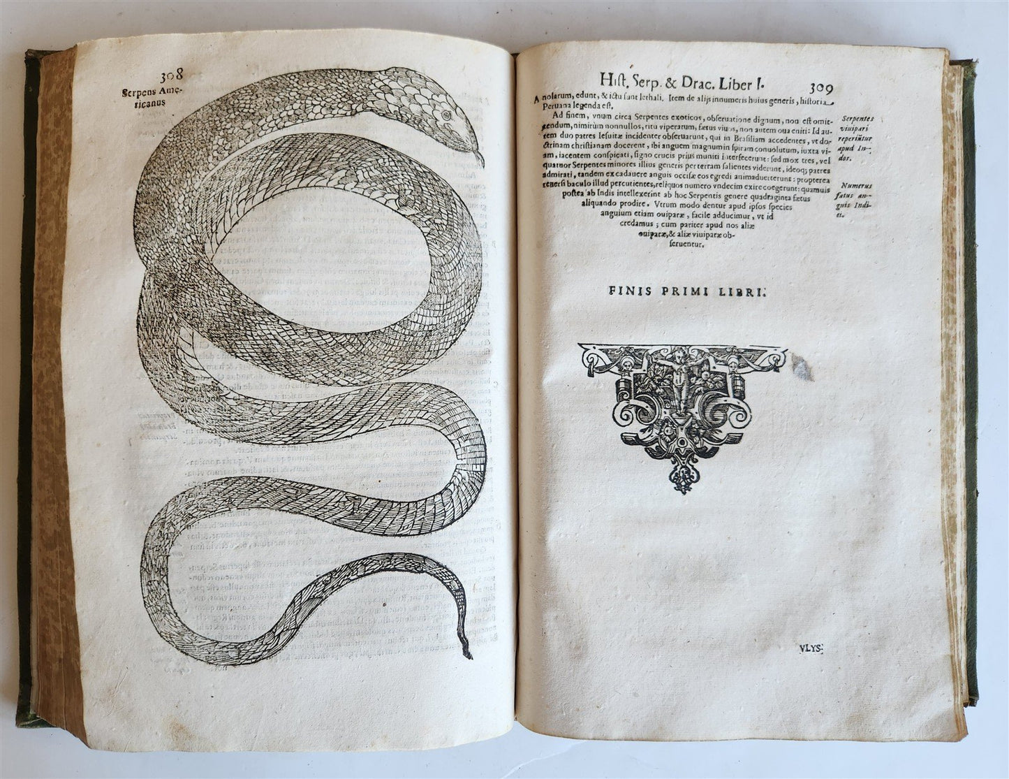 1639 ALDROVANDI TREATISE on DRAGONS & SNAKES antique ILLUSTRATED FOLIO