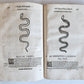 1639 ALDROVANDI TREATISE on DRAGONS & SNAKES antique ILLUSTRATED FOLIO