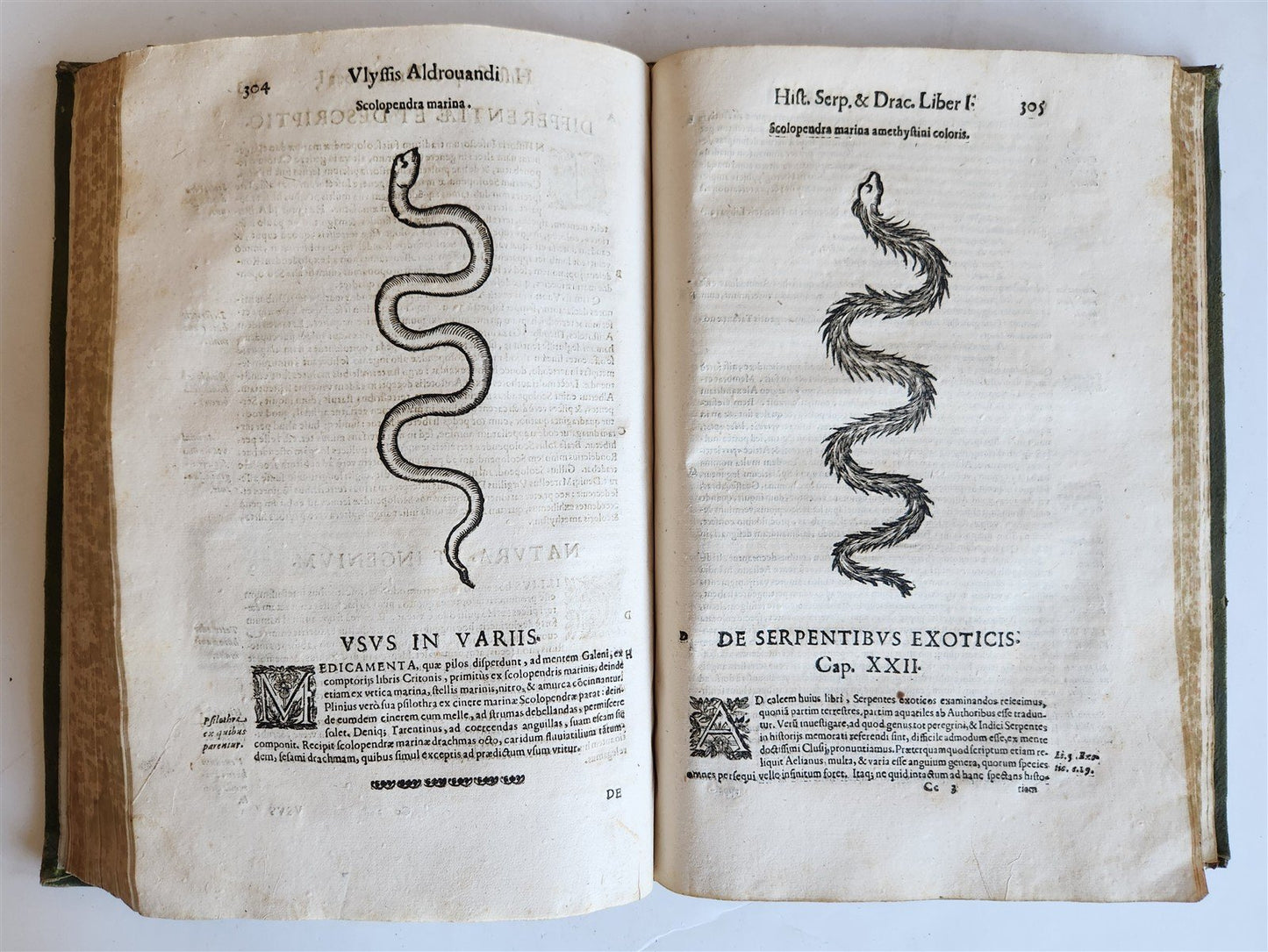 1639 ALDROVANDI TREATISE on DRAGONS & SNAKES antique ILLUSTRATED FOLIO