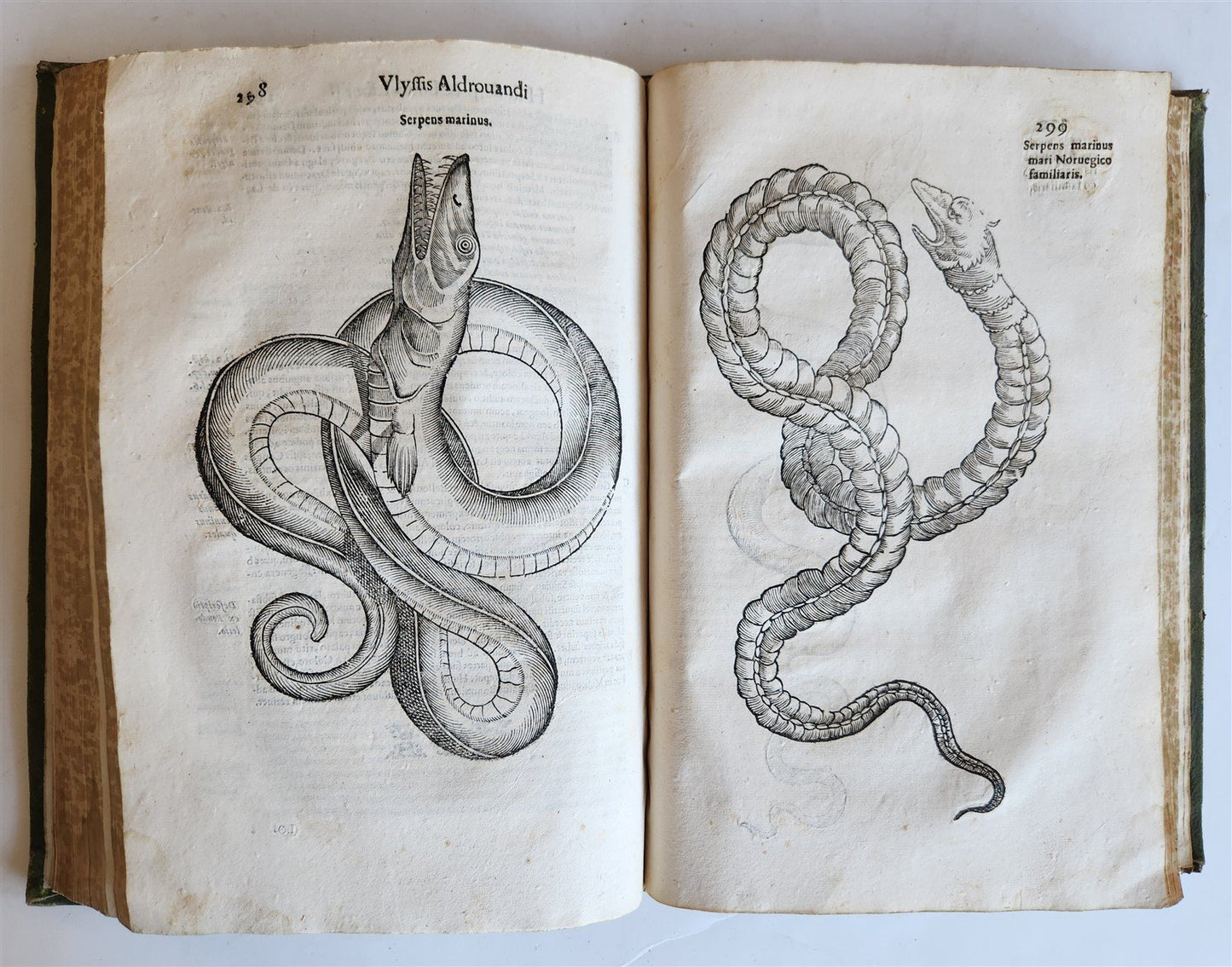 1639 ALDROVANDI TREATISE on DRAGONS & SNAKES antique ILLUSTRATED FOLIO