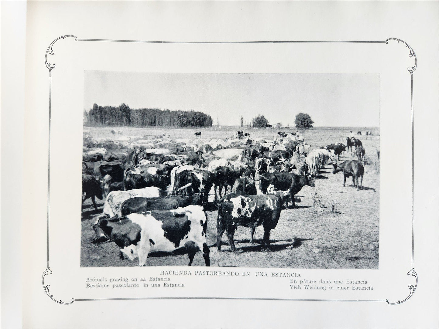 1900 ALBUM-RECUERDO de BUENOS AIRES antique PHOTO ILLUSTRATED FOLIO ALBUM