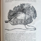 1887-1888 REPORT of AMERICAN BUREAU of ETHNOLOGY by J.POWELL antique ILLUSTRATED