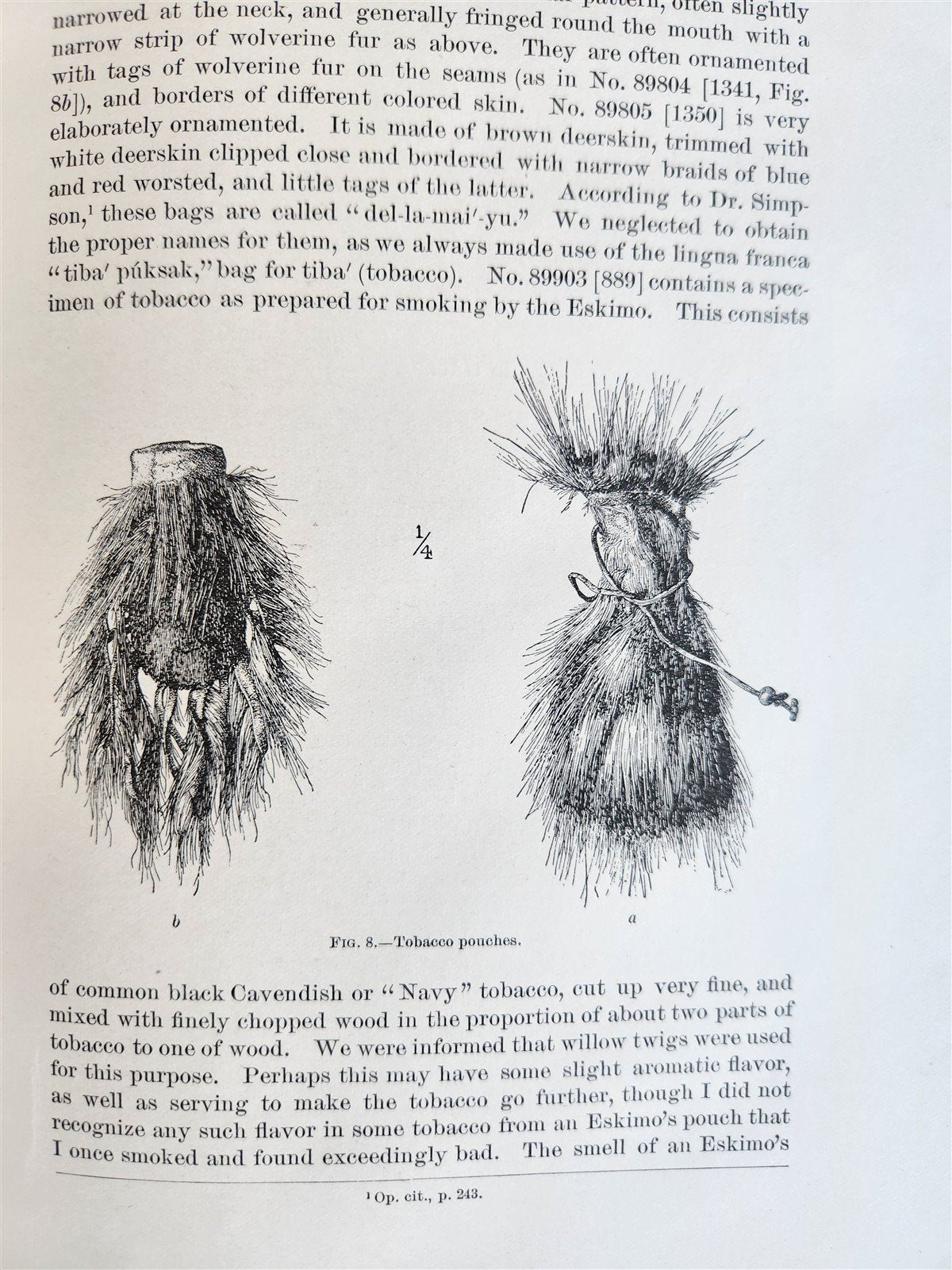1887-1888 REPORT of AMERICAN BUREAU of ETHNOLOGY by J.POWELL antique ILLUSTRATED