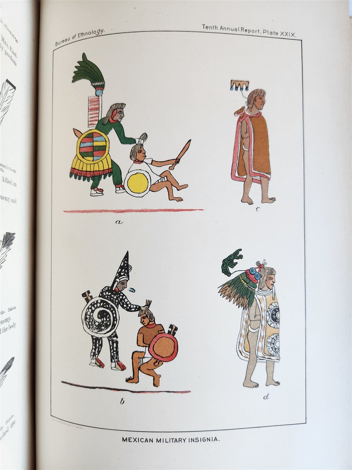 1888-1889 REPORT of AMERICAN BUREAU of ETHNOLOGY by J.POWELL antique ILLUSTRATED