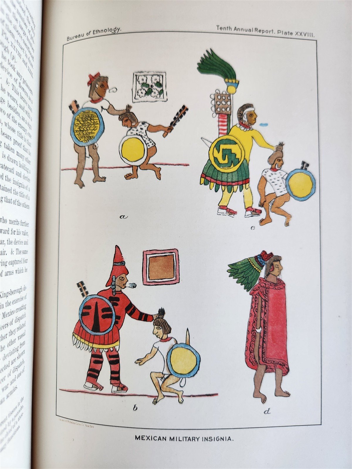 1888-1889 REPORT of AMERICAN BUREAU of ETHNOLOGY by J.POWELL antique ILLUSTRATED