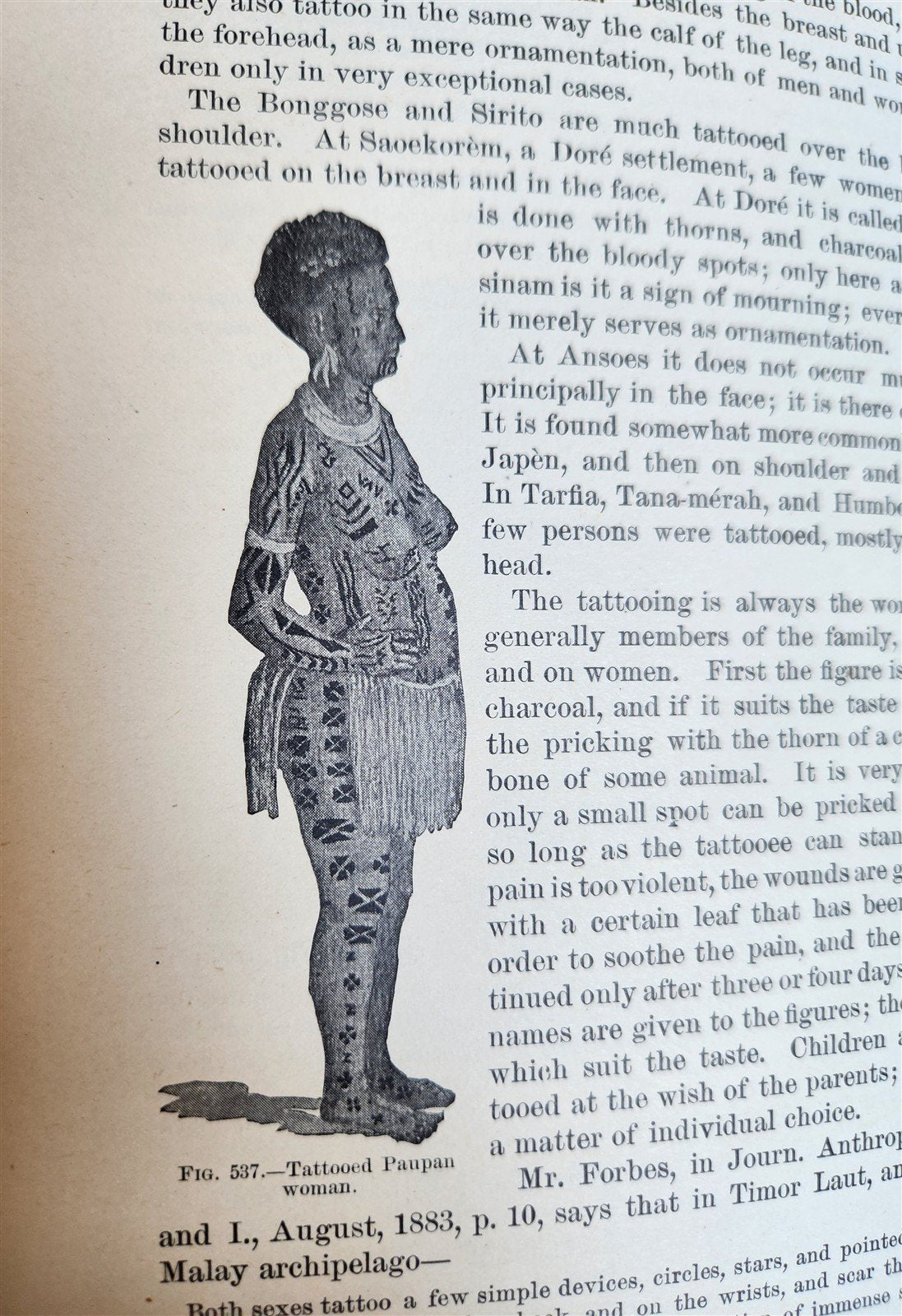 1888-1889 REPORT of AMERICAN BUREAU of ETHNOLOGY by J.POWELL antique ILLUSTRATED