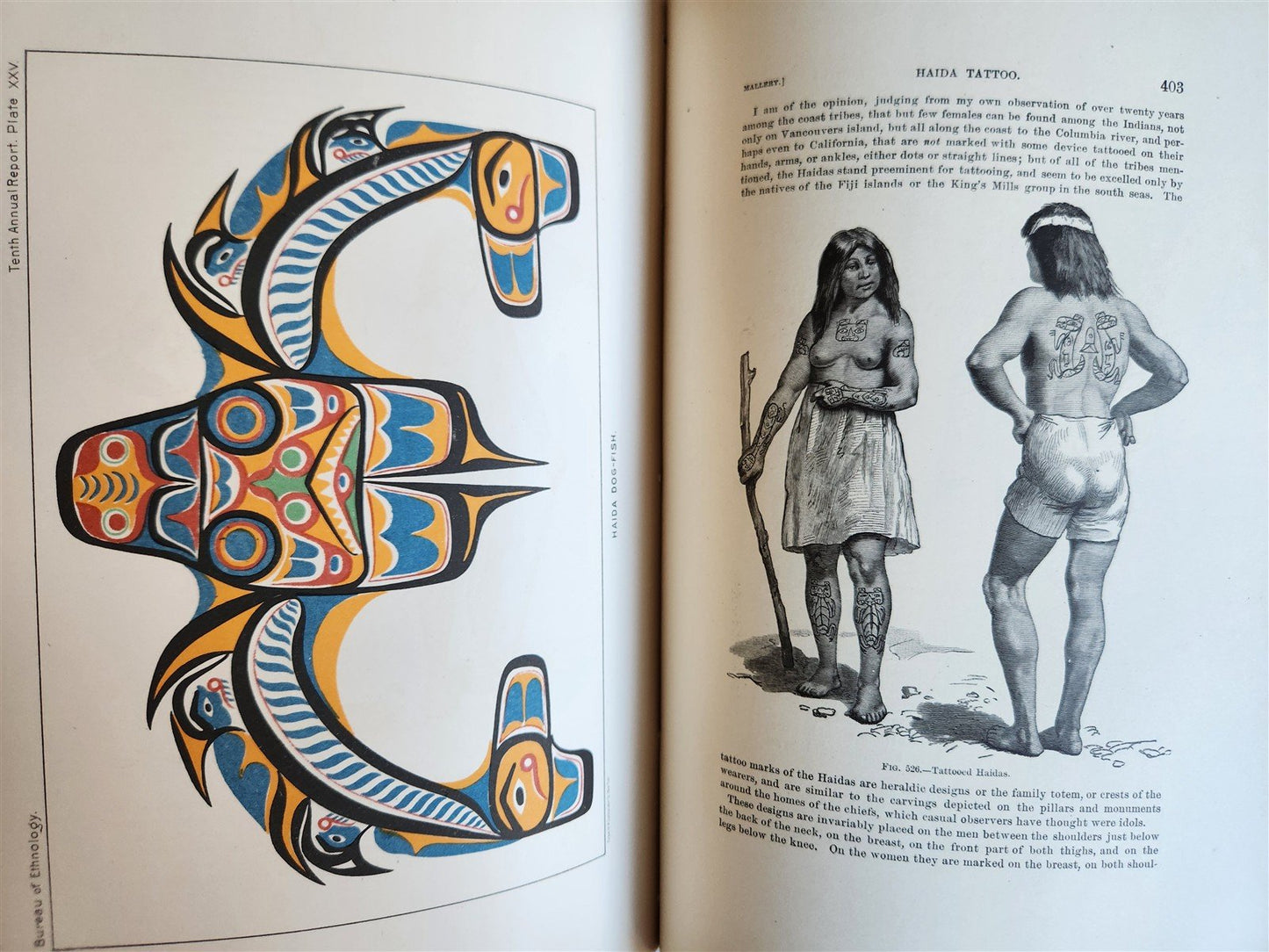 1888-1889 REPORT of AMERICAN BUREAU of ETHNOLOGY by J.POWELL antique ILLUSTRATED