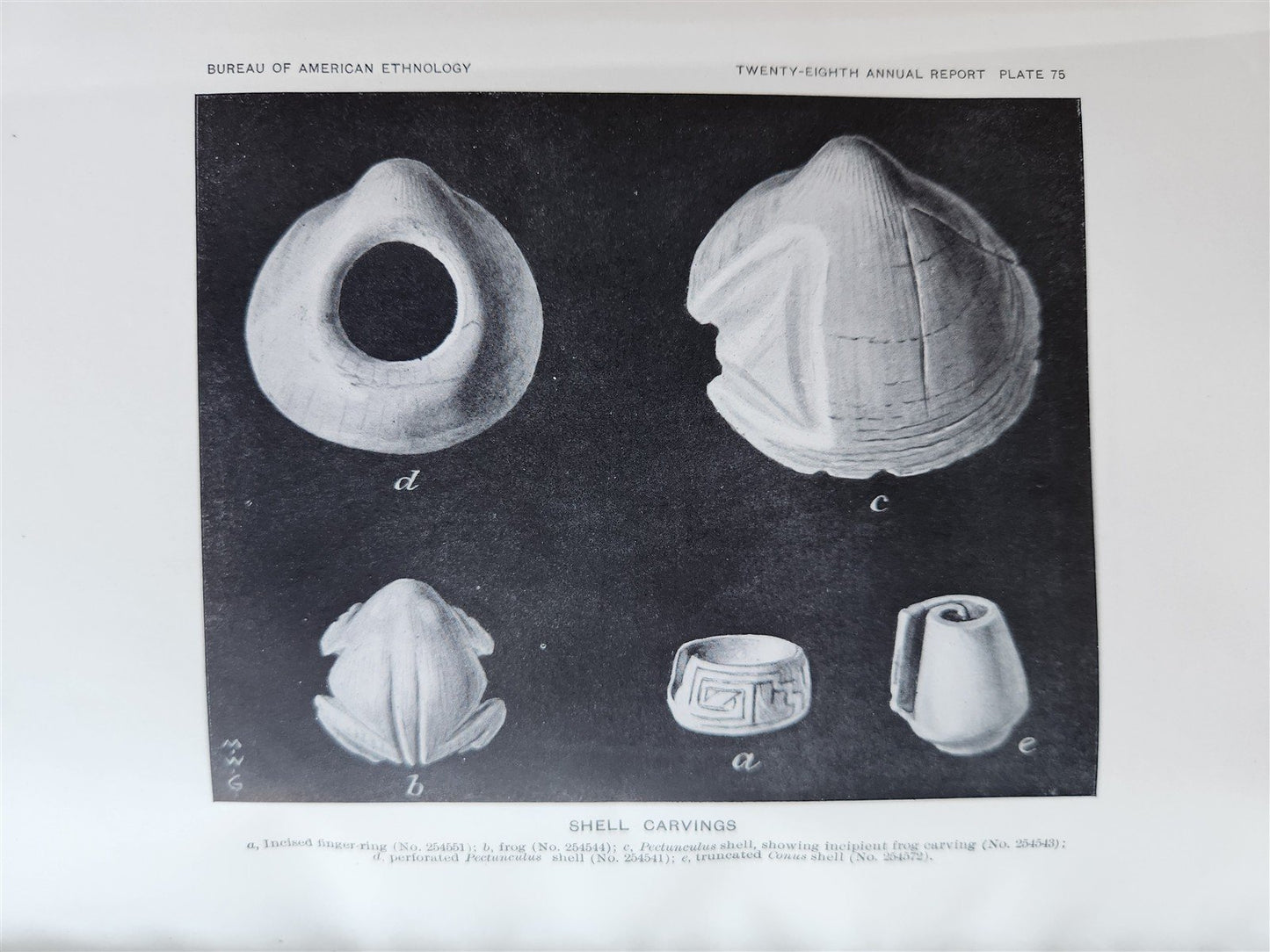 1906-1907 REPORT of the BUREAU of AMERICAN ETHNOLOGY antique ILLUSTRATED