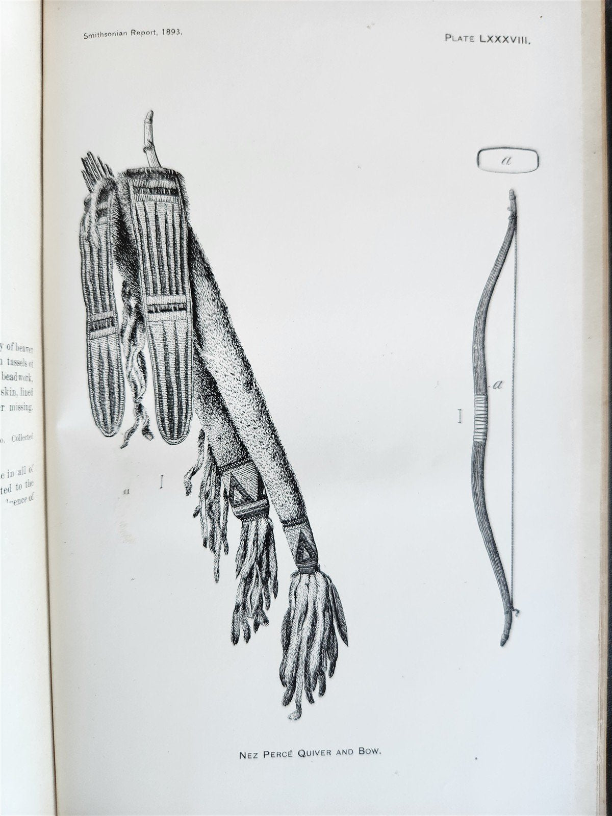 1894 REPORT of BOARD of REGENTS of SMITHSONIAN INSTITUTION antique ILLUSTRATED