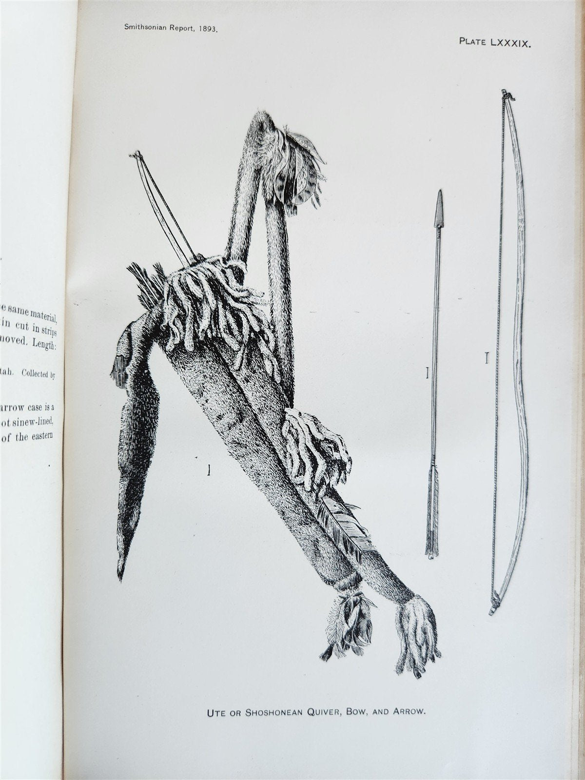 1894 REPORT of BOARD of REGENTS of SMITHSONIAN INSTITUTION antique ILLUSTRATED