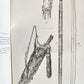 1894 REPORT of BOARD of REGENTS of SMITHSONIAN INSTITUTION antique ILLUSTRATED