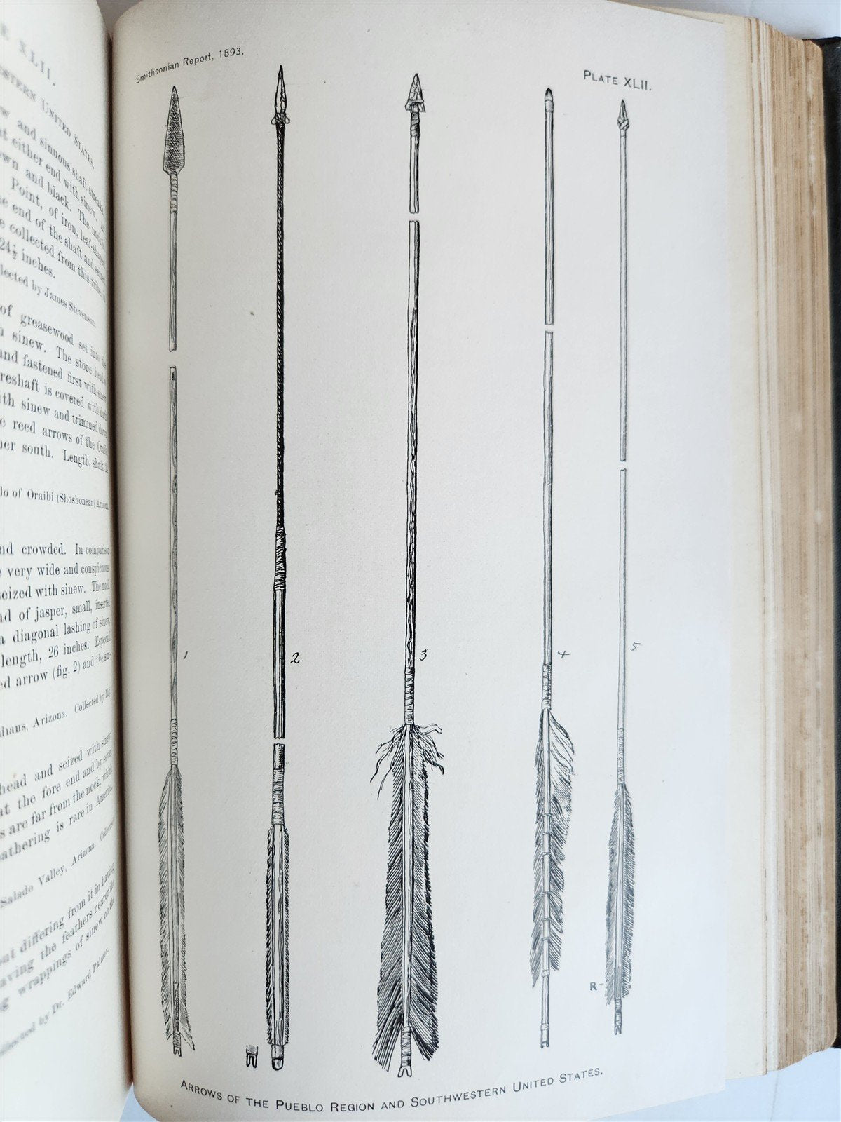 1894 REPORT of BOARD of REGENTS of SMITHSONIAN INSTITUTION antique ILLUSTRATED