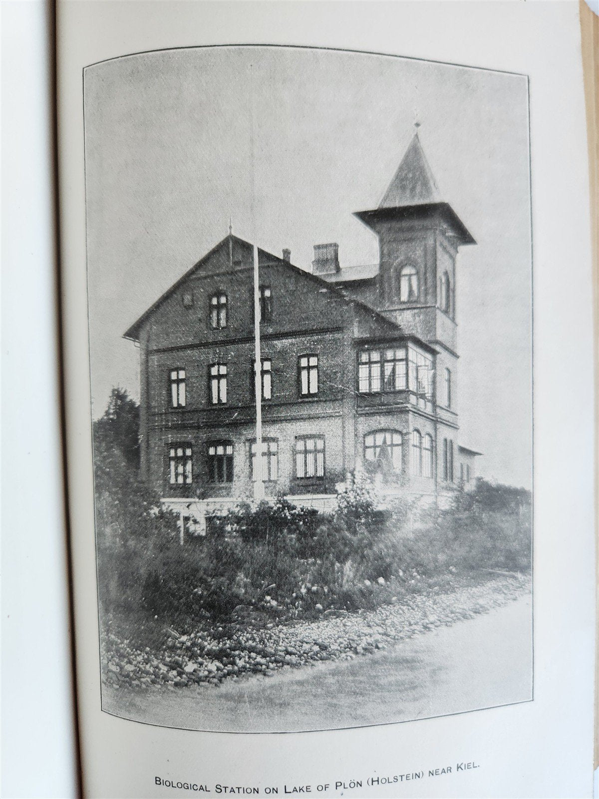 1894 REPORT of BOARD of REGENTS of SMITHSONIAN INSTITUTION antique ILLUSTRATED