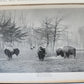 1894 REPORT of BOARD of REGENTS of SMITHSONIAN INSTITUTION antique ILLUSTRATED