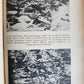 1960 SS im EINZATZ documentary about SS crimes in GERMAN illustrated
