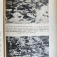 1960 SS im EINZATZ documentary about SS crimes in GERMAN illustrated