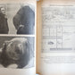 1960 SS im EINZATZ documentary about SS crimes in GERMAN illustrated