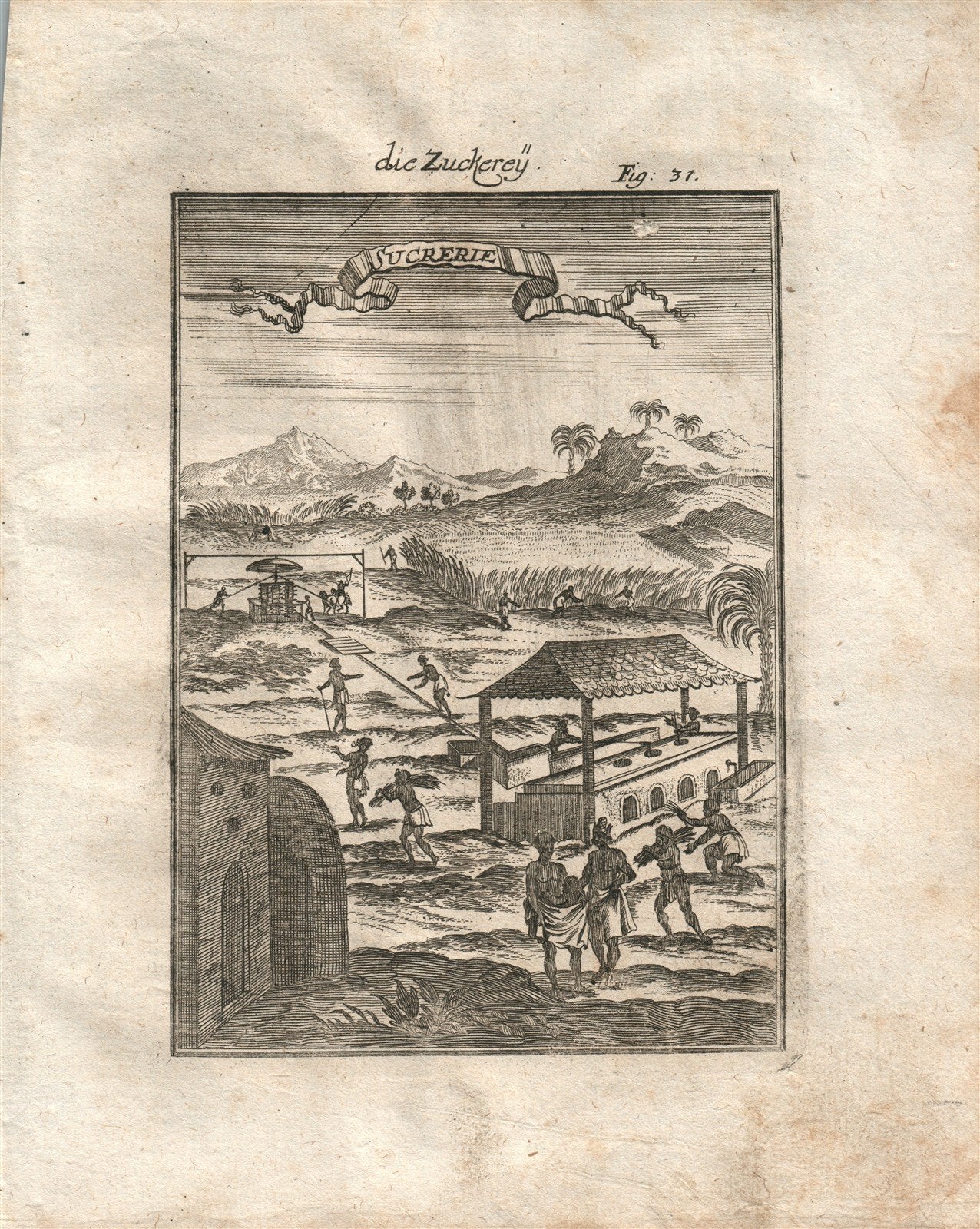 1719 SUGAR FACTORY plate 31 from Beschreibung Des gantzen Welt-Kreises