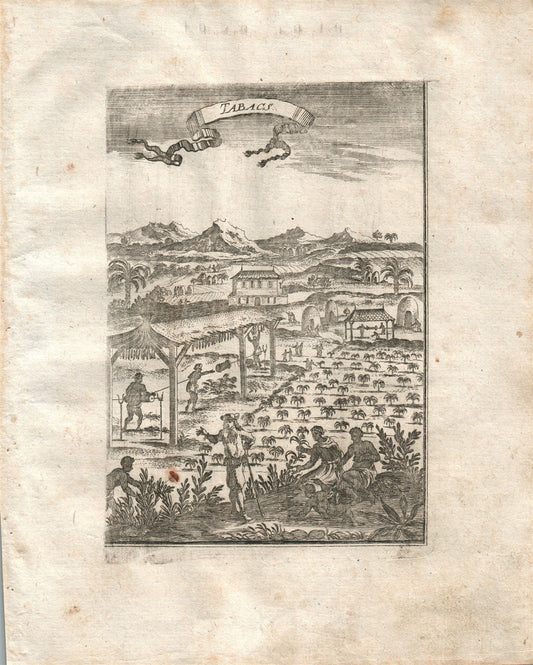 1719 TABACS plate from Beschreibung Des gantzen Welt-Kreises