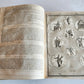 1685 ROMAN ANTIQUTIES antique ILLUSTRATED vellum bound in LATIN