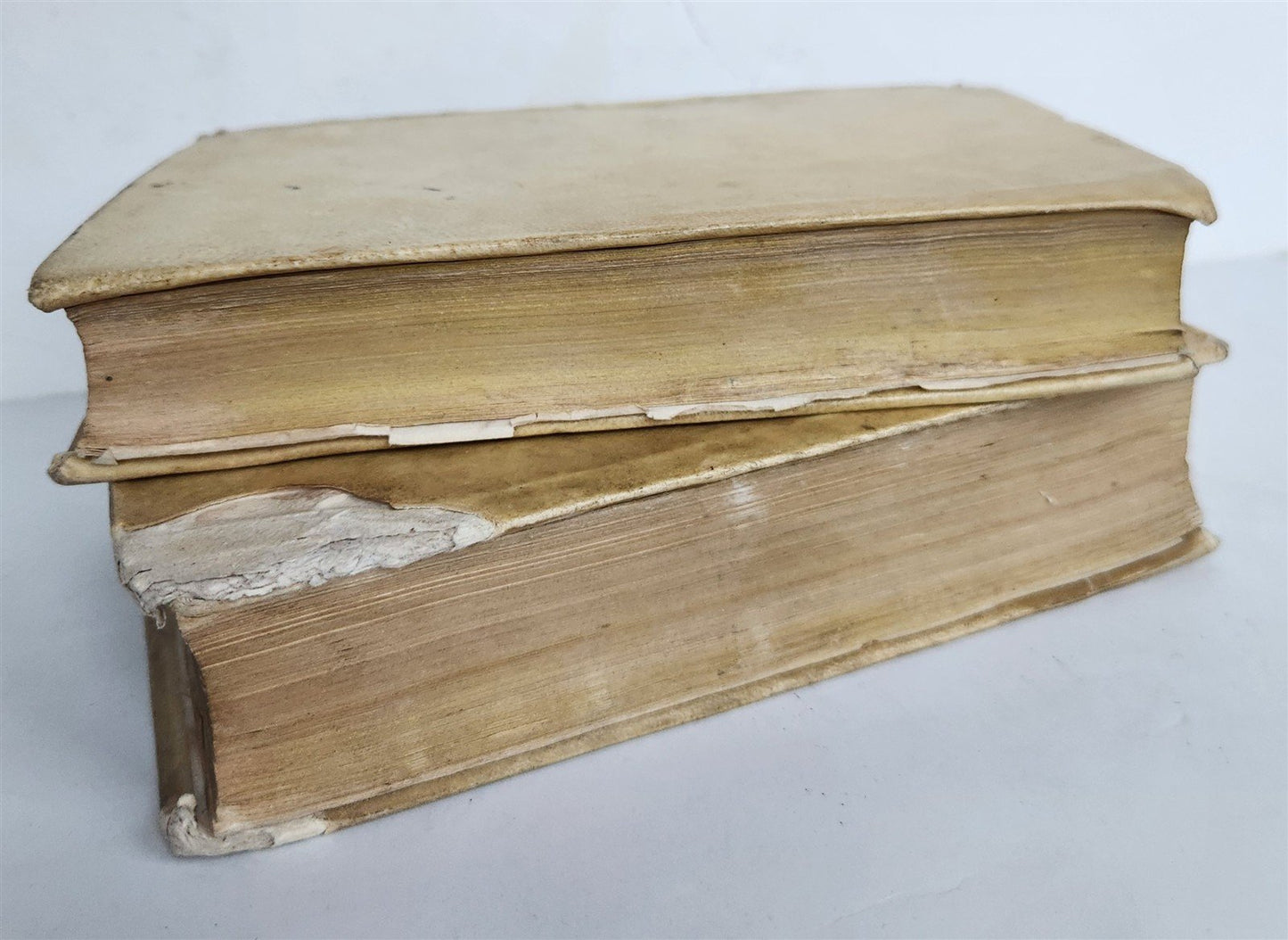 1721 TREATISE on DIALECTS of TUSCAN & VULGAR LATIN antique 2 VOLUMES