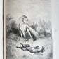 1868 FABLES by J. de LA FONTAINE illustrated by GUSTAVE DORE antique FOLIO