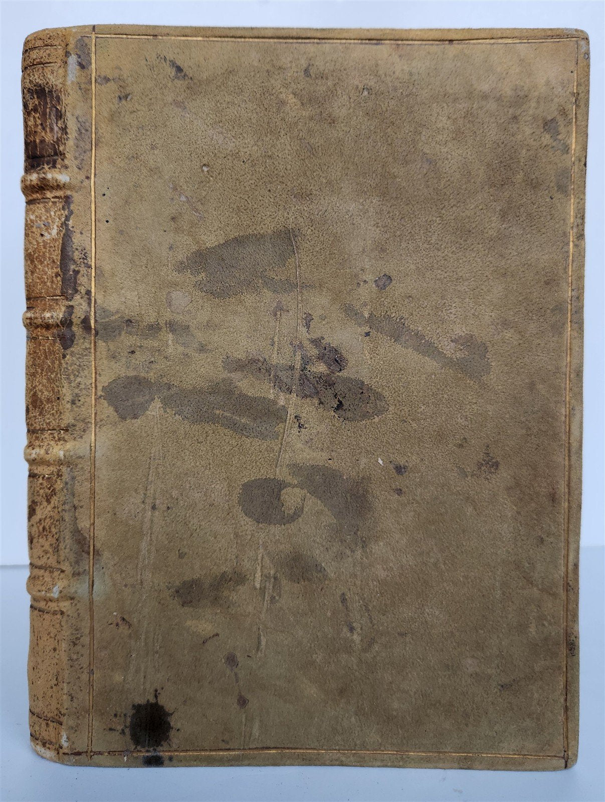 1600 ILLUSTRATED ROMAN EMPRESSES PORTRAITS antique 55 COPPER PLATES