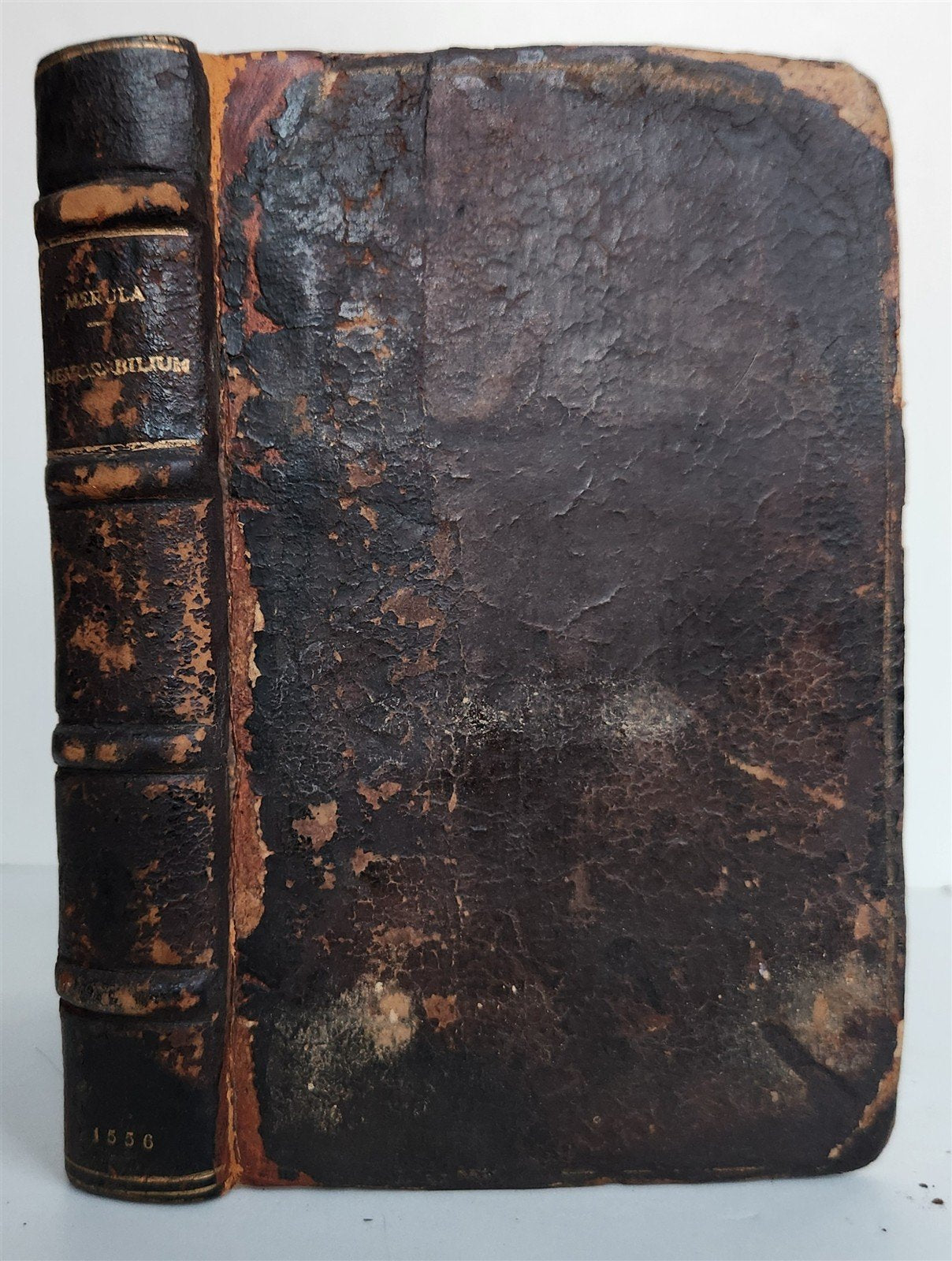 1556 ENCYCLOPEDIA natural history theology alchemy astrology antique ILLUSTRATED