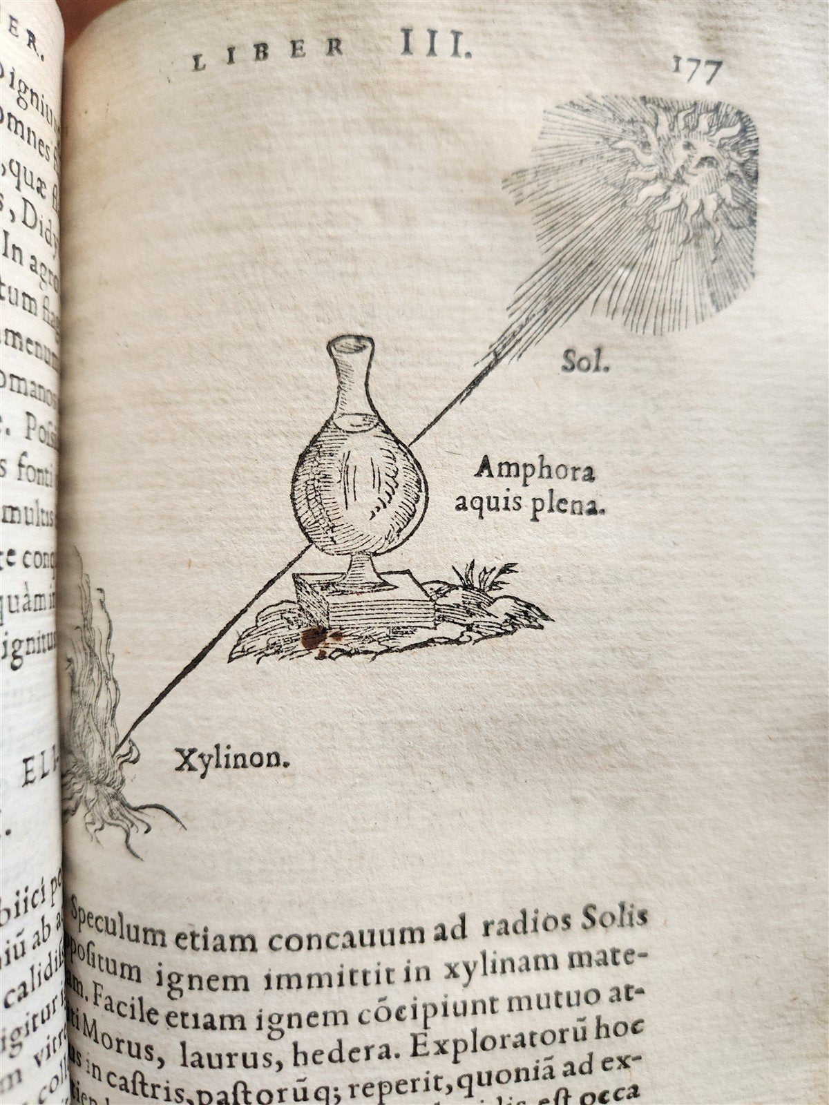 1556 ENCYCLOPEDIA natural history theology alchemy astrology antique ILLUSTRATED