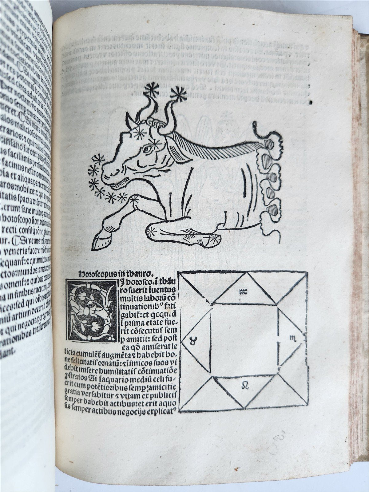 1502 ASTROLOGY POST-INCUNABUL ILLUSTRATED antique Astrolabium Planum by J.ENGEL