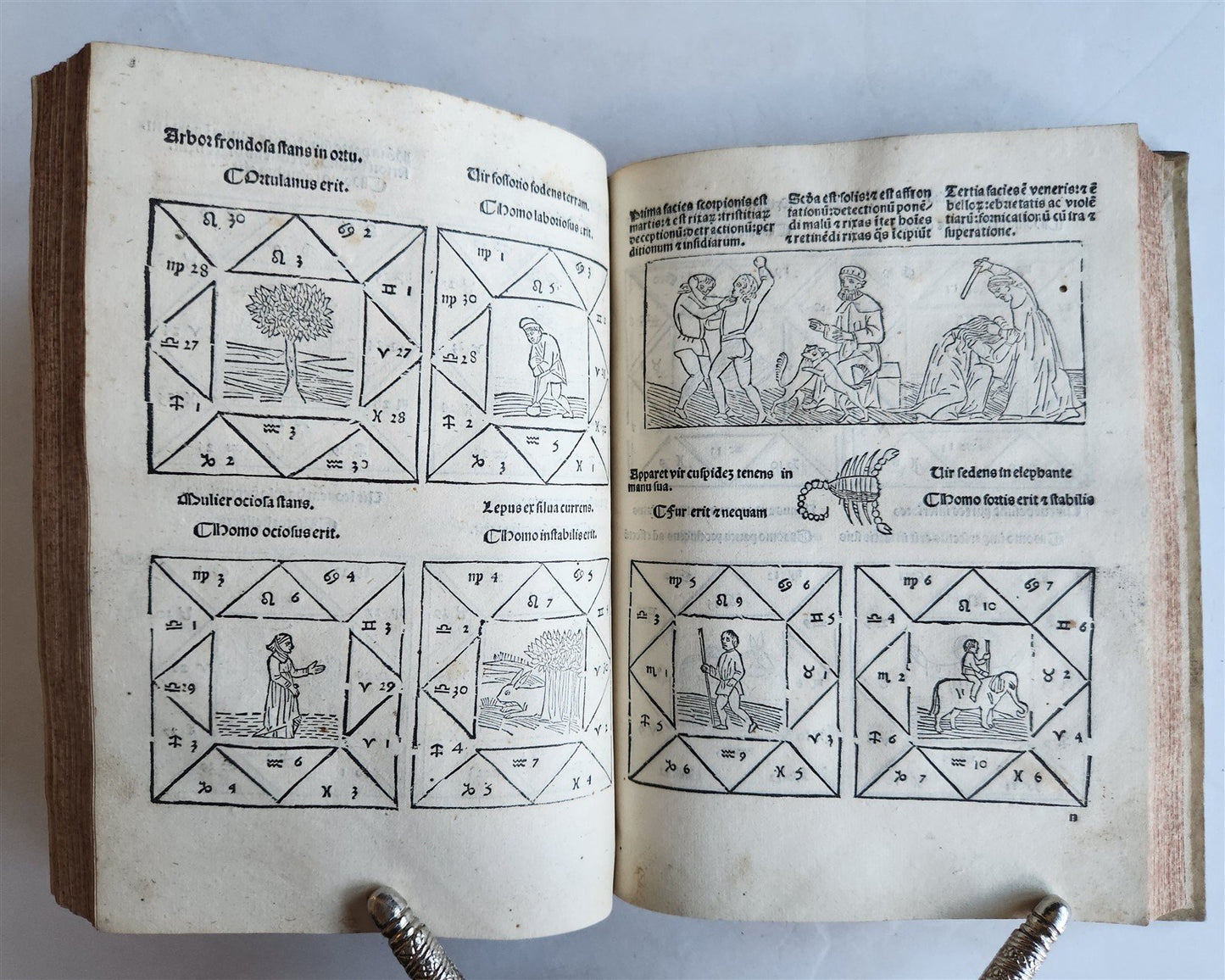 1502 ASTROLOGY POST-INCUNABUL ILLUSTRATED antique Astrolabium Planum by J.ENGEL