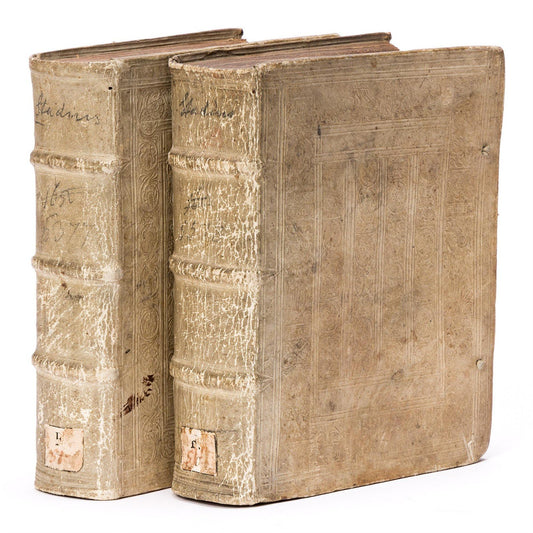 1581 ASTROLOGY & ASTRONOMY Ephemerides Johannes Stadius ANTIQUE 2 PIGSKIN VOLS