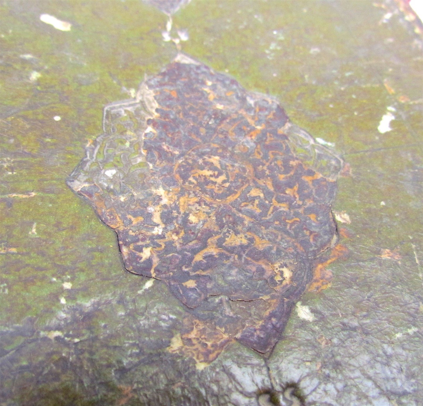 1800 MANUSCRIPT BOOK antique Bahar-i Danish Spring of Knowledge in FARSI