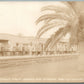 LOWER RIO GRANDE VALLEY TX OUTGOING FRUITS ANTIQUE REAL PHOTO POSTCARD RPPC
